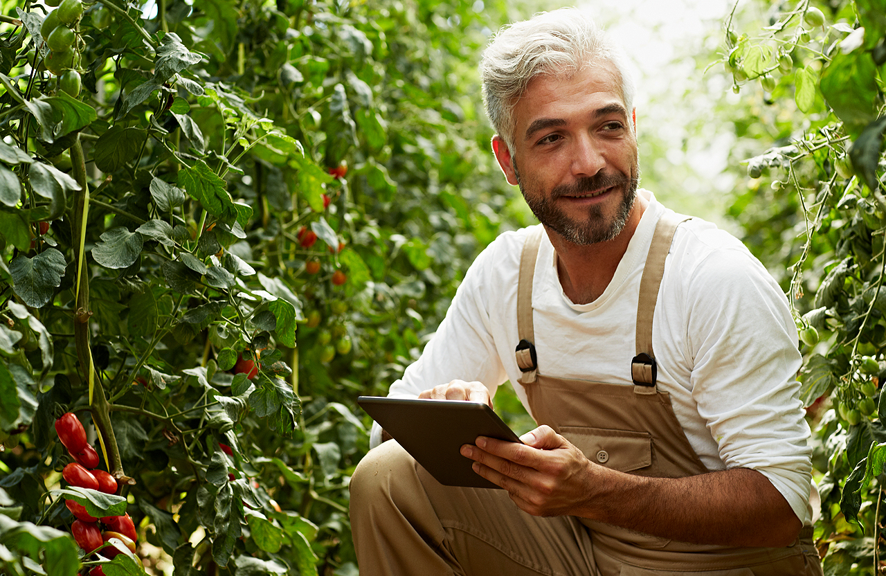 Farmer with tablet
